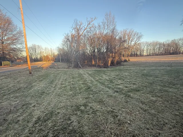 a view of a field with trees in the background