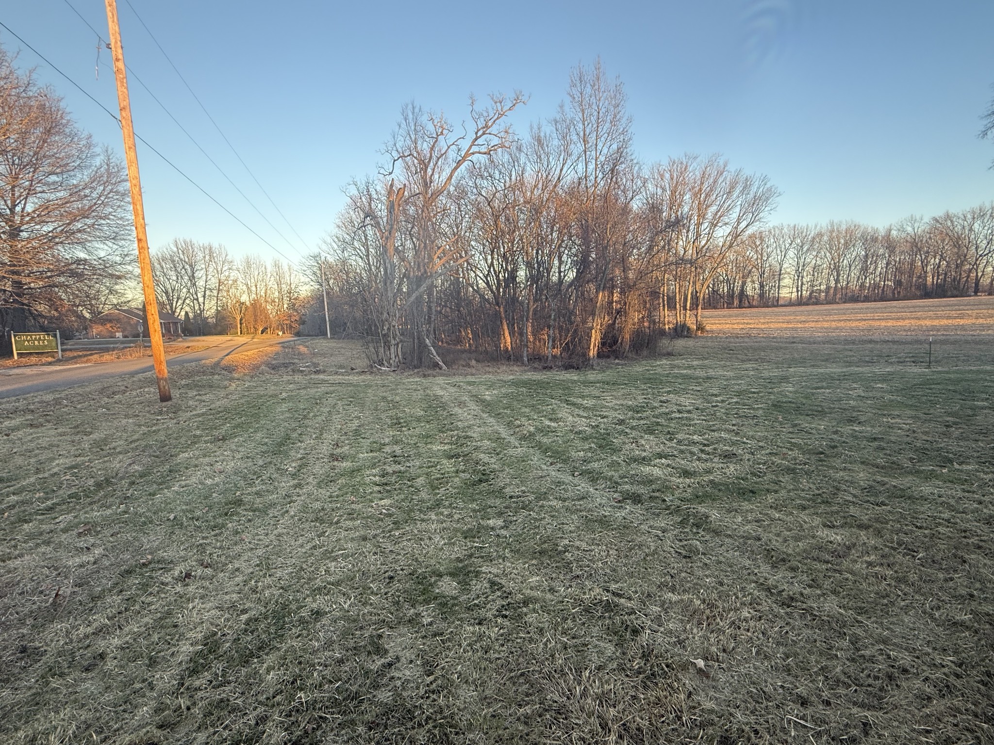 2627 Woods Road Springfield, TN 37172 - Photo 6 of 9 a view of a field with trees in the background