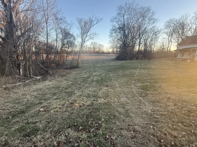 a view of a yard with trees