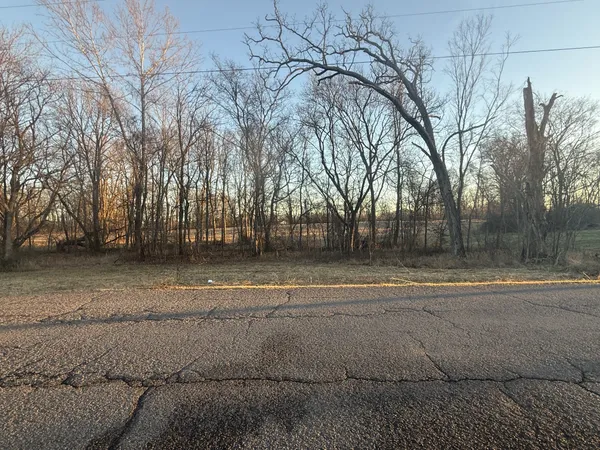 a view of outdoor space with trees
