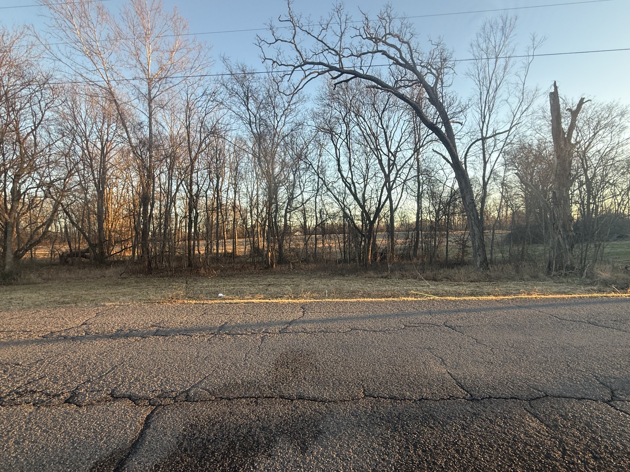 2627 Woods Road Springfield, TN 37172 - Photo 9 of 9 a view of outdoor space with trees