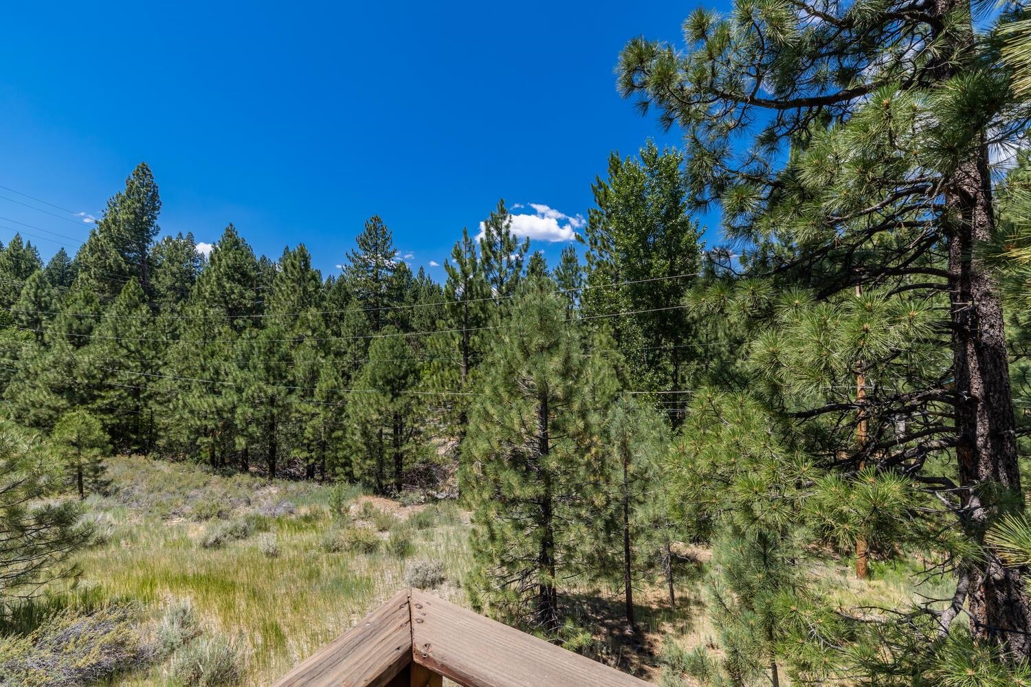 10332 Sugar Pine Road Truckee, CA 96161 - Photo 15 of 25 a view of a yard
