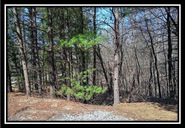 0 Wesley Chapel Rd Mount Mount Perry, OH 43760 - Photo 11 of 50