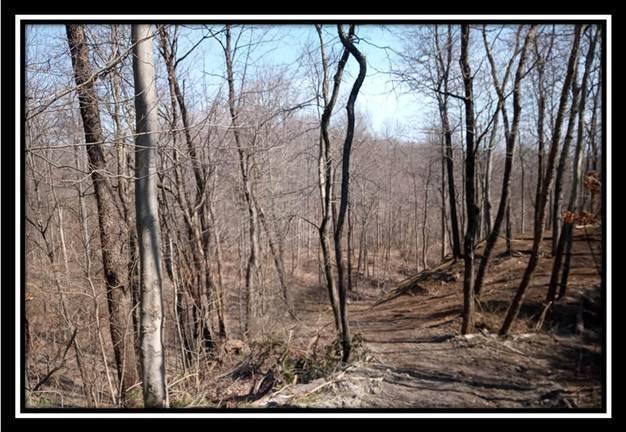 0 Wesley Chapel Rd Mount Mount Perry, OH 43760 - Photo 19 of 50