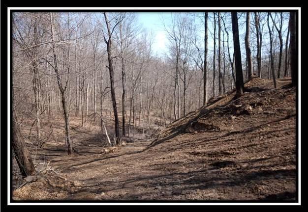 0 Wesley Chapel Rd Mount Mount Perry, OH 43760 - Photo 20 of 50