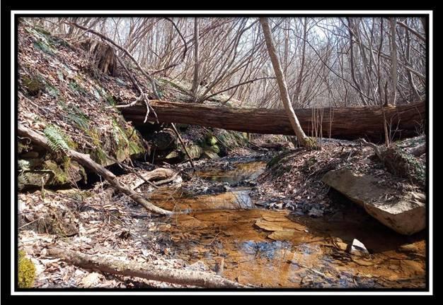 0 Wesley Chapel Rd Mount Mount Perry, OH 43760 - Photo 2 of 50