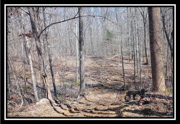 0 Wesley Chapel Rd Mount Mount Perry, OH 43760 - Photo 21 of 50
