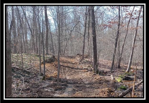0 Wesley Chapel Rd Mount Mount Perry, OH 43760 - Photo 22 of 50