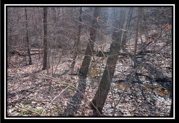 0 Wesley Chapel Rd Mount Mount Perry, OH 43760 - Photo 23 of 50