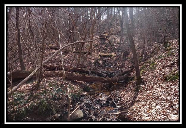 0 Wesley Chapel Rd Mount Mount Perry, OH 43760 - Photo 25 of 50