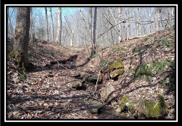 0 Wesley Chapel Rd Mount Mount Perry, OH 43760 - Photo 26 of 50