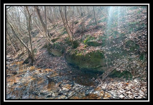 0 Wesley Chapel Rd Mount Mount Perry, OH 43760 - Photo 28 of 50