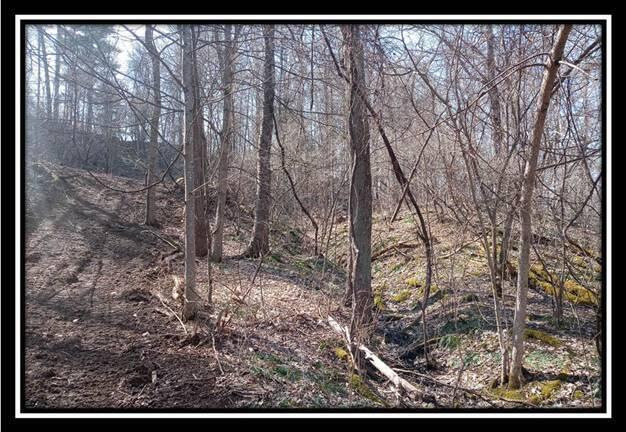 0 Wesley Chapel Rd Mount Mount Perry, OH 43760 - Photo 29 of 50
