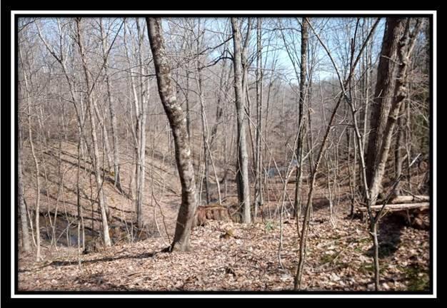 0 Wesley Chapel Rd Mount Mount Perry, OH 43760 - Photo 30 of 50