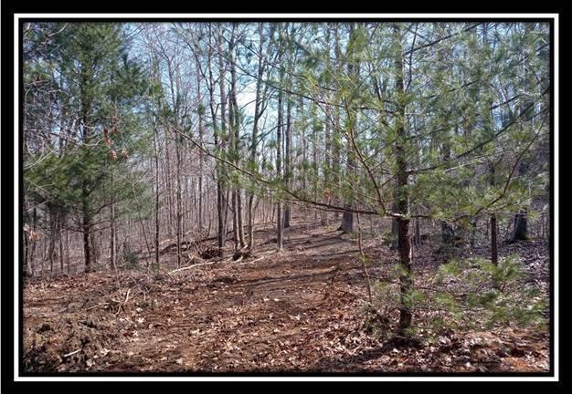 0 Wesley Chapel Rd Mount Mount Perry, OH 43760 - Photo 31 of 50