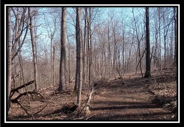 0 Wesley Chapel Rd Mount Mount Perry, OH 43760 - Photo 32 of 50