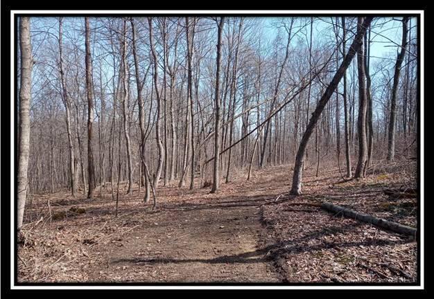 0 Wesley Chapel Rd Mount Mount Perry, OH 43760 - Photo 33 of 50