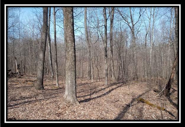 0 Wesley Chapel Rd Mount Mount Perry, OH 43760 - Photo 34 of 50