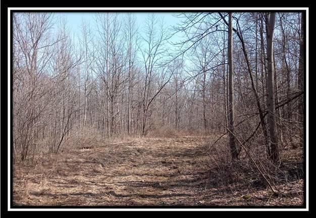 0 Wesley Chapel Rd Mount Mount Perry, OH 43760 - Photo 35 of 50