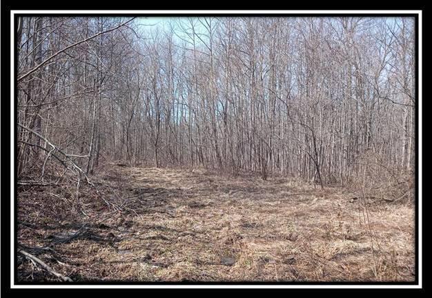 0 Wesley Chapel Rd Mount Mount Perry, OH 43760 - Photo 36 of 50
