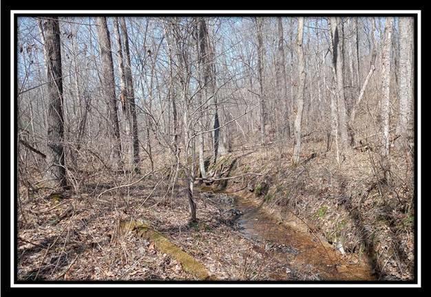 0 Wesley Chapel Rd Mount Mount Perry, OH 43760 - Photo 38 of 50