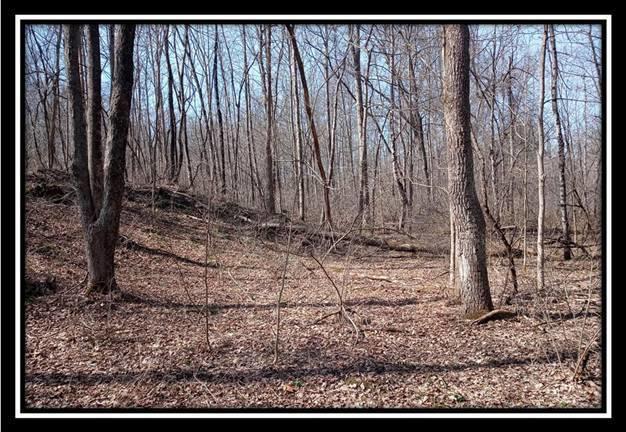 0 Wesley Chapel Rd Mount Mount Perry, OH 43760 - Photo 39 of 50