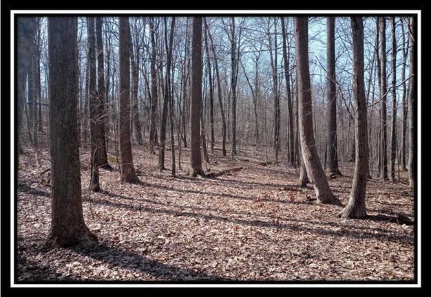 0 Wesley Chapel Rd Mount Mount Perry, OH 43760 - Photo 42 of 50