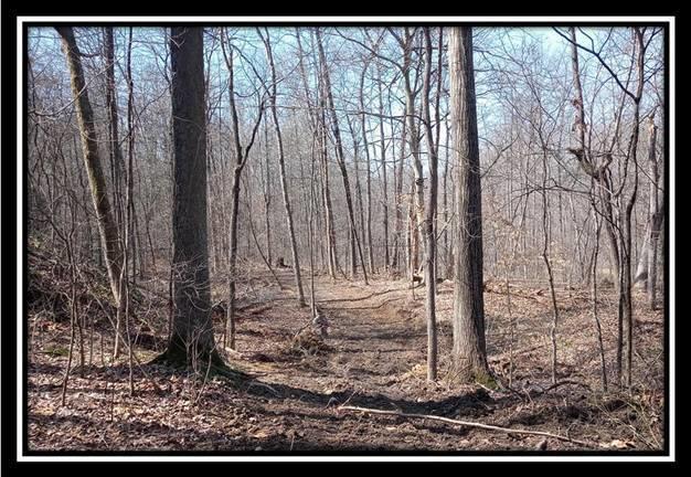 0 Wesley Chapel Rd Mount Mount Perry, OH 43760 - Photo 43 of 50