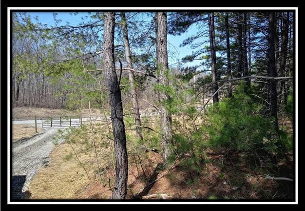 0 Wesley Chapel Rd Mount Mount Perry, OH 43760 - Photo 45 of 50
