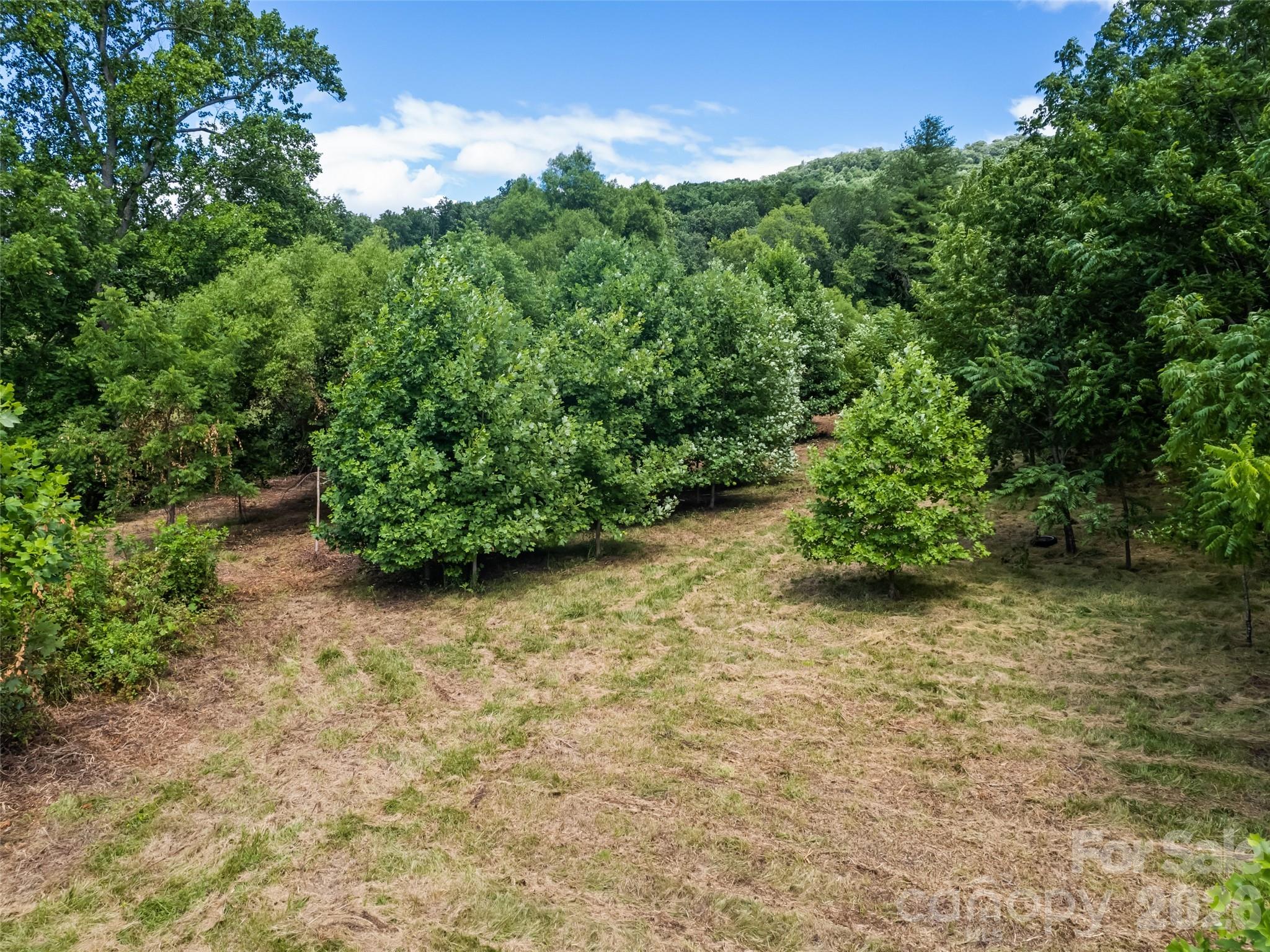 9999 Lollis Road Candler, NC 28715 - Photo 12 of 16