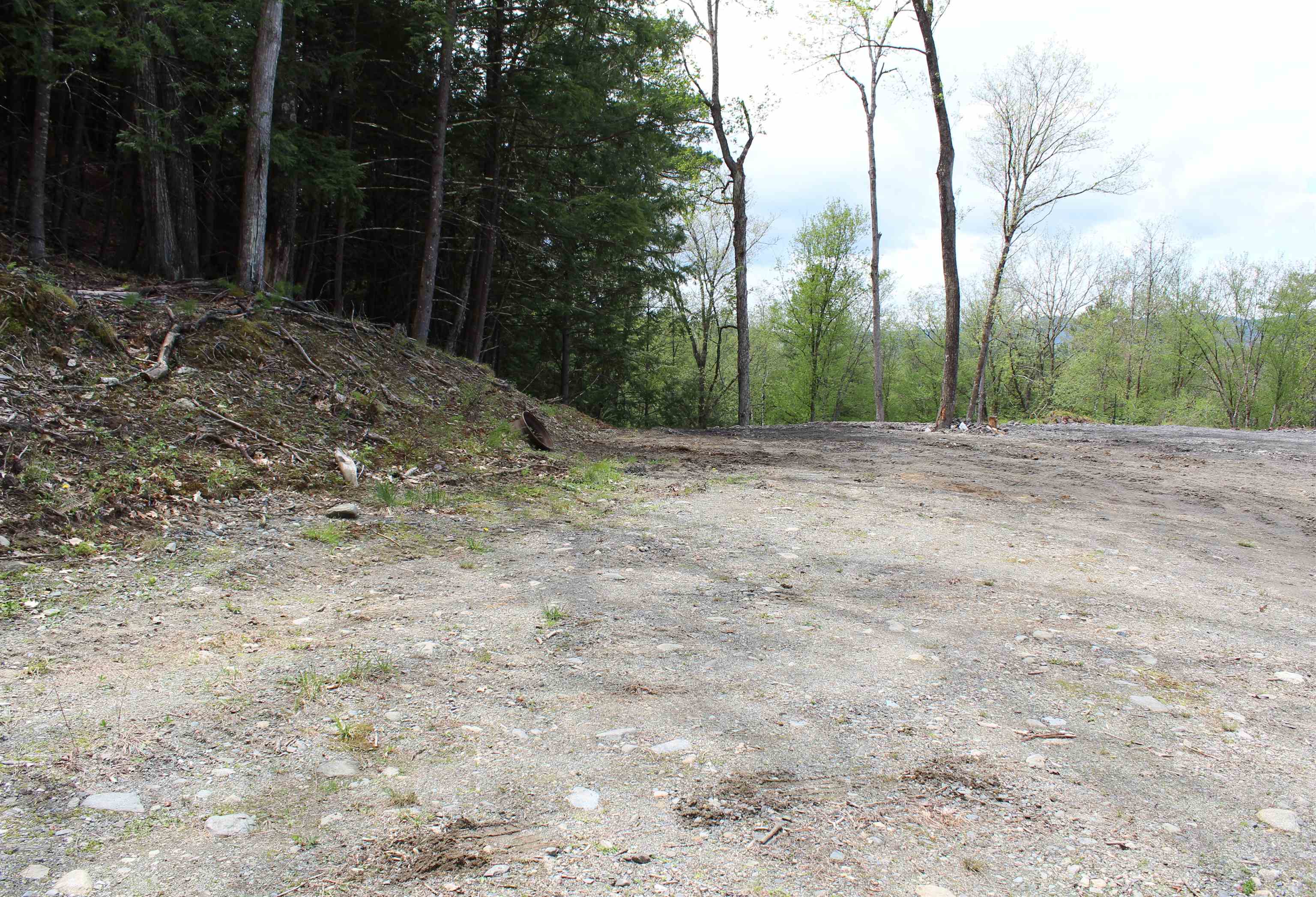 Lot 23-24 Wetherbee Road Lyman, NH 03585 - Photo 11 of 54