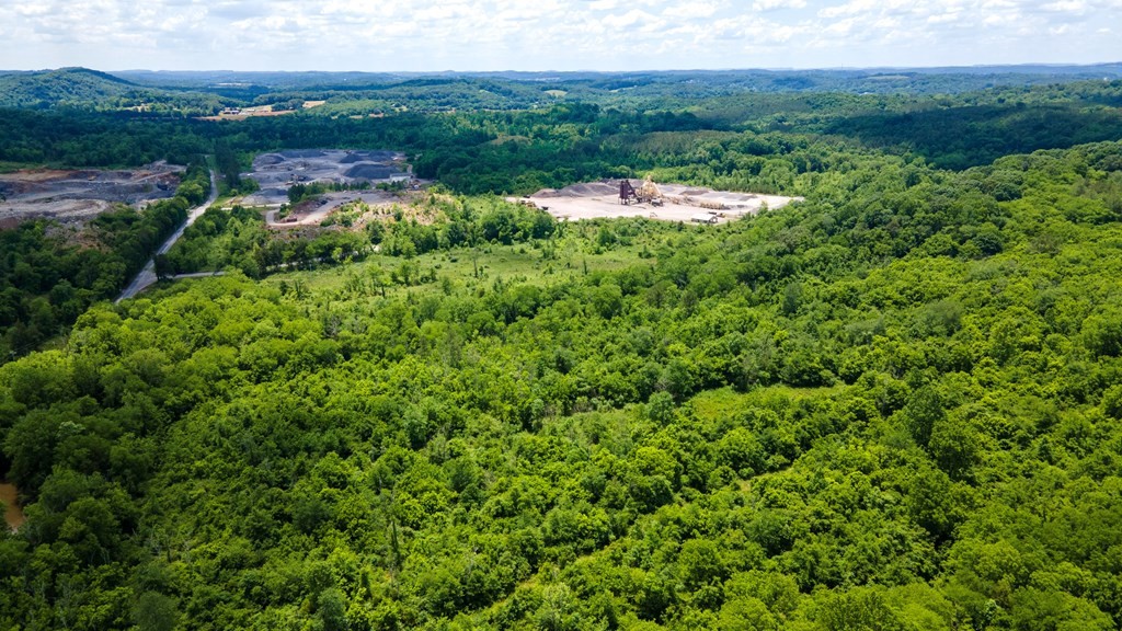 3 State Highway Calhoun, TN 37309 - Photo 6 of 9