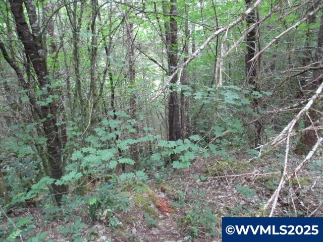 0 Gruber South Road Estacada, OR 97023 - Photo 26 of 30
