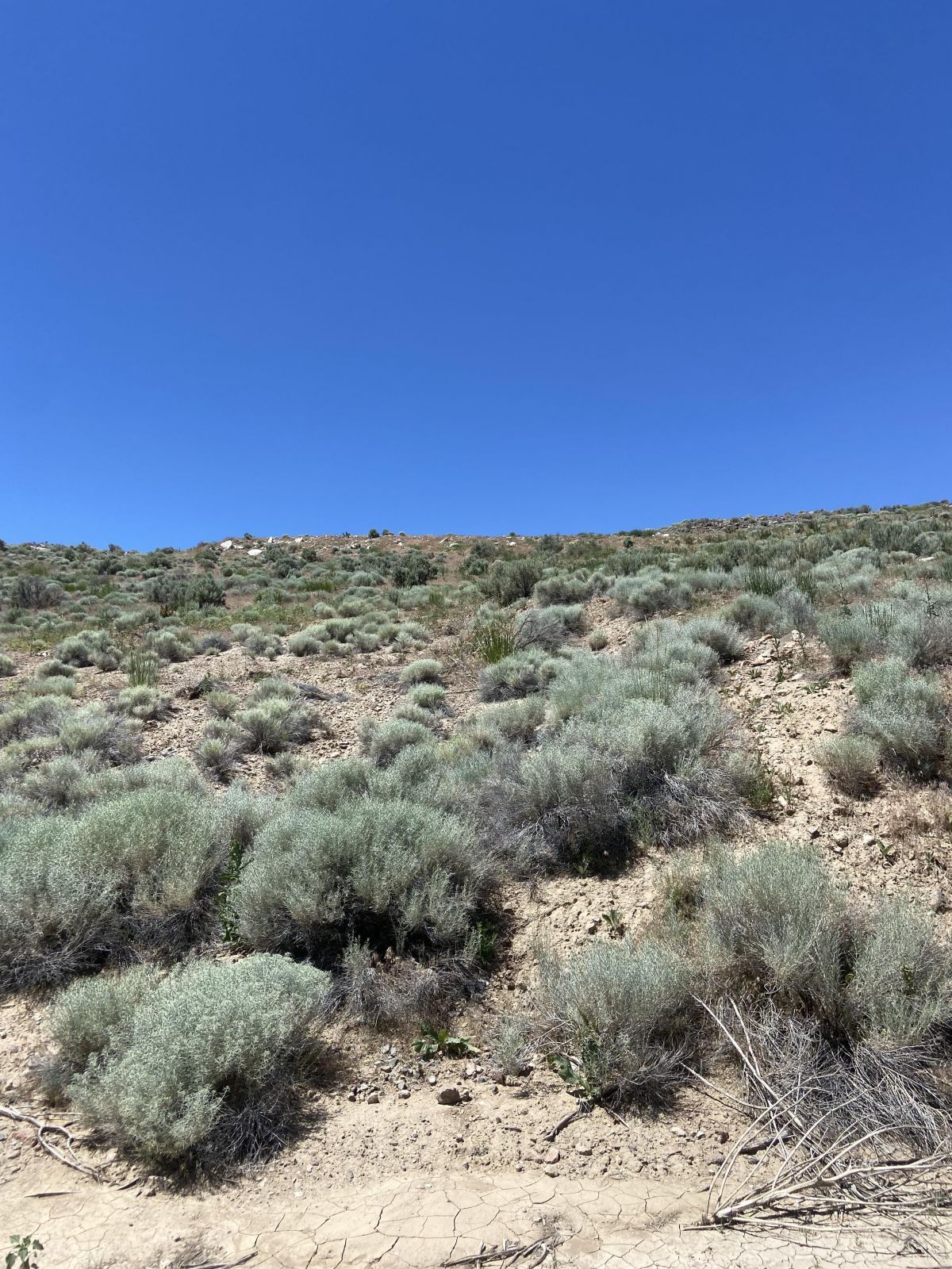 Primeaux Canyon Road Crescent Valley, NV 89821 - Photo 1 of 5