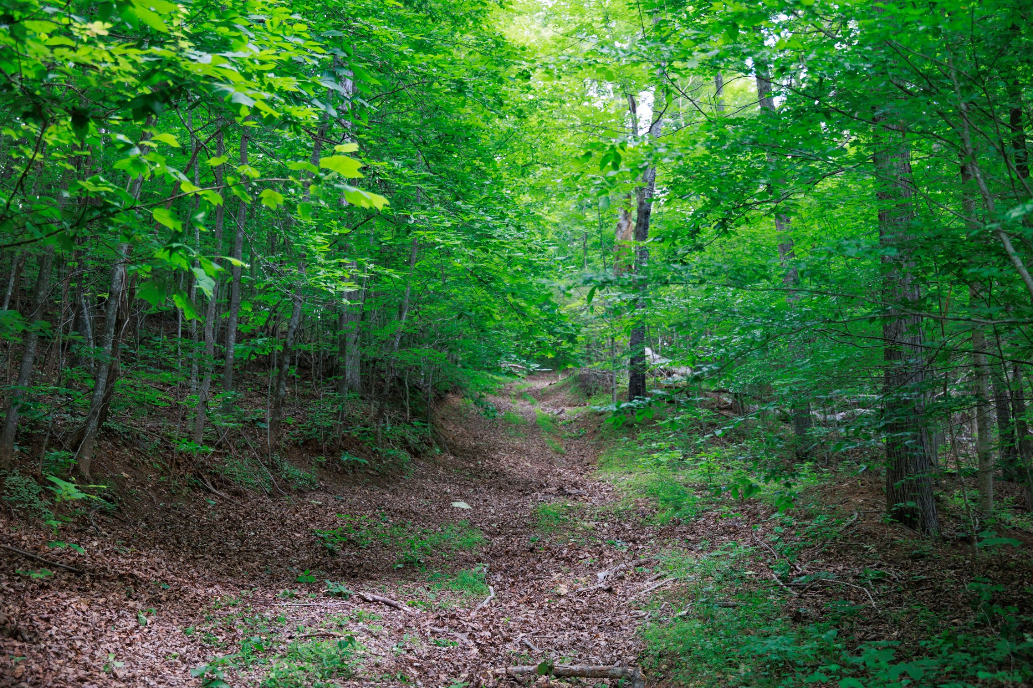 582 Cedar Bend Road Beechgrove, TN 37018 - Photo 14 of 32