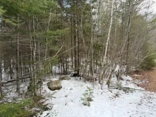 $65,000 | Lot 068002 Shore Road, Bremen, ME 04551