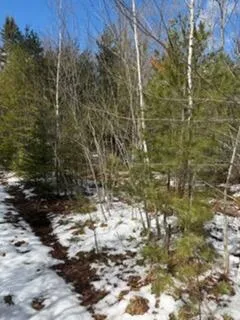 $65,000 | Lot 068002 Shore Road, Bremen, ME 04551