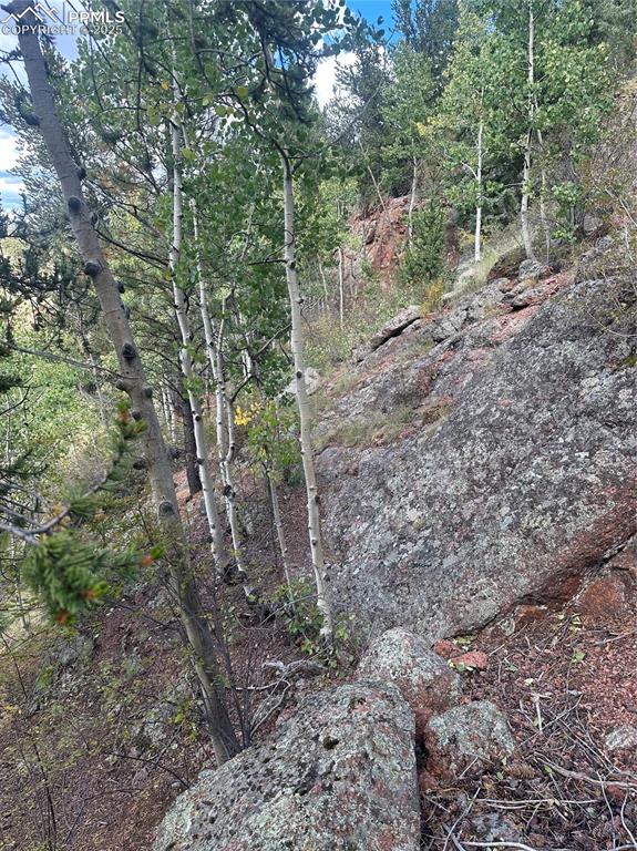 1 County Road Cripple Creek, CO 80813 - Photo 5 of 10 a backyard of a house with lots of green space
