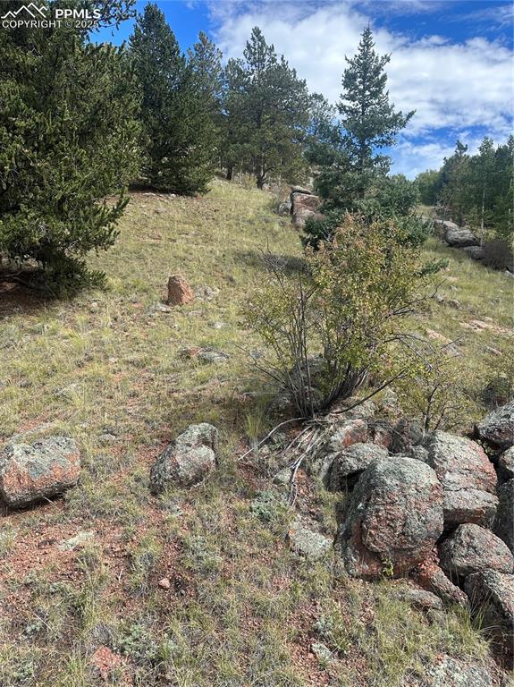 1 County Road Cripple Creek, CO 80813 - Photo 7 of 10