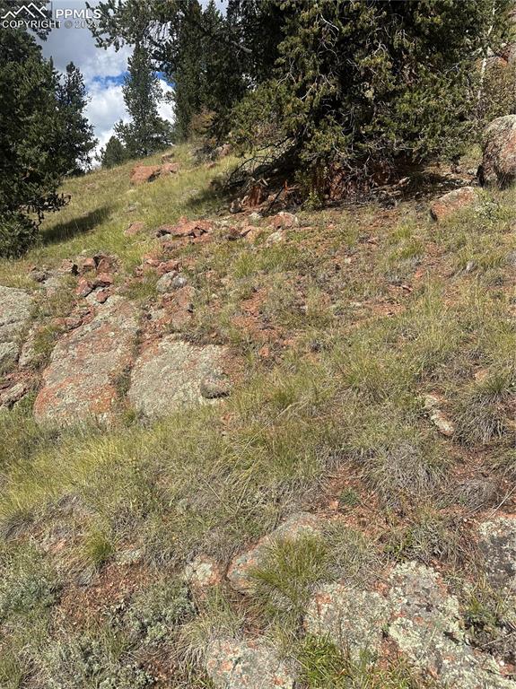 1 County Road Cripple Creek, CO 80813 - Photo 9 of 10 a view of a yard with a tree