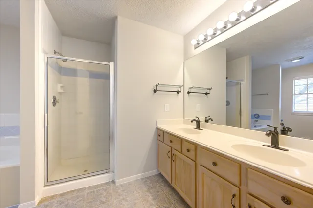 a bathroom with a double vanity sink mirror and shower