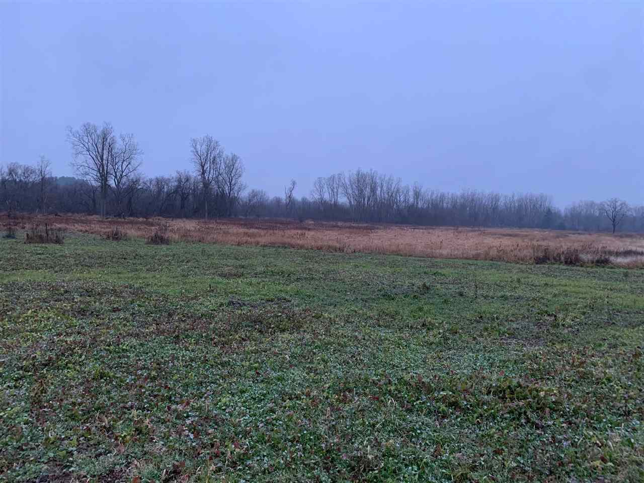 0 Britton Road Morrice, MI 48857 - Photo 5 of 9