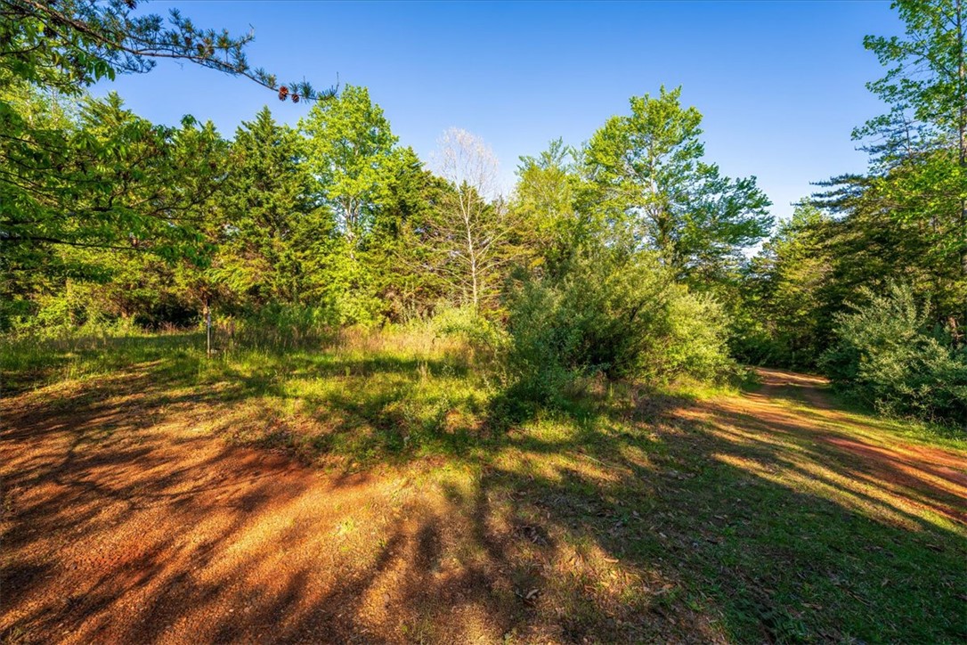 930 Nimmons Bridge Road Salem, SC 29676 - Photo 19 of 19 This tranquil lot offers a peaceful escape, surrounded by verdant trees and natural beauty.