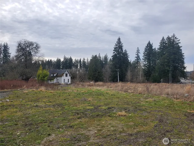 a view of a field with trees in it