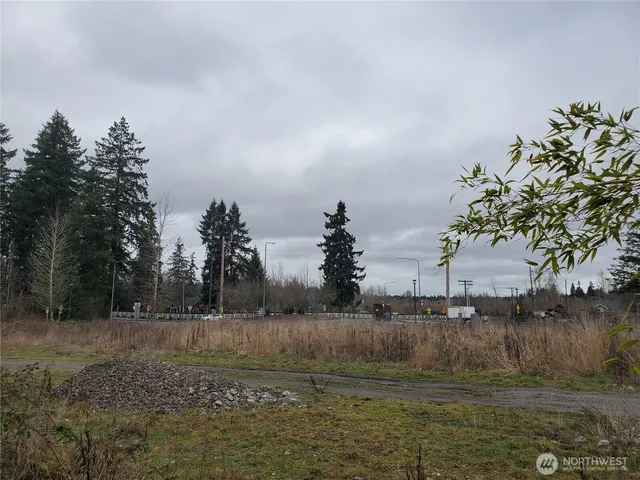 a view of a dry yard with trees in the background