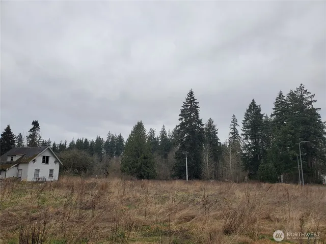 a view of a field with a tree in the background