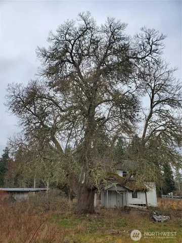 a sign board with tree in the background