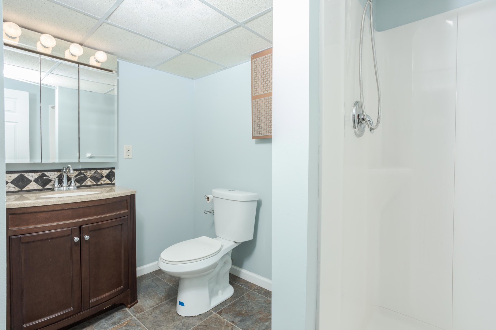 1717 Cook Drive Normal, IL 61761 - Photo 37 of 55 a bathroom with a toilet sink and mirror