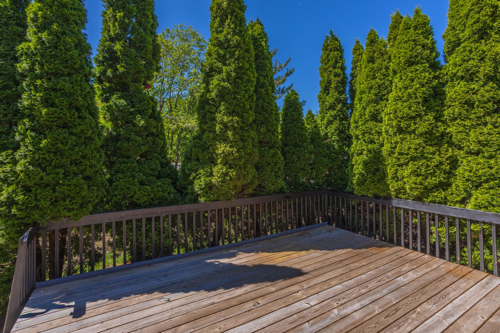 1717 Cook Drive Normal, IL 61761 - Photo 39 of 55 a wooden deck with trees in front of it