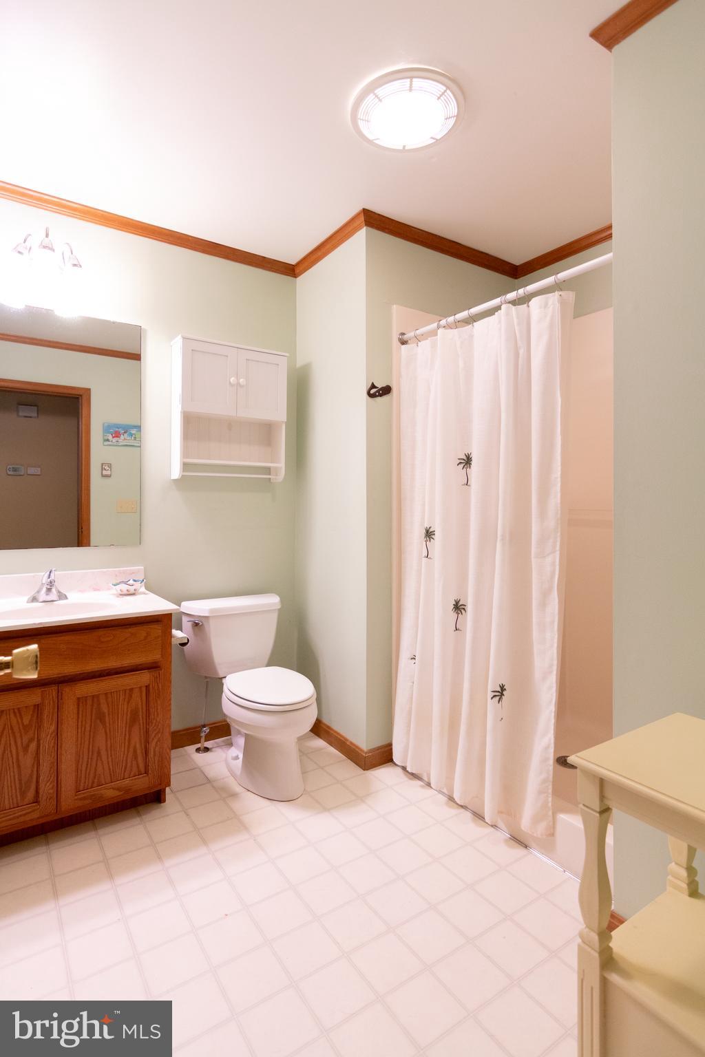 2 Gary Avenue Rehoboth Beach, DE 19971 - Photo 31 of 49 hall bath (bath 2)